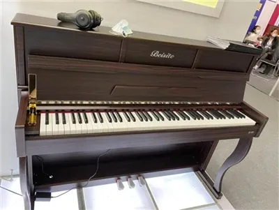 বেইসাইট মার্কিন যুক্তরাষ্ট্রের লস অ্যাঞ্জেলেসে আলাহিম ইনস্ট্রুমেন্ট প্রদর্শনী...